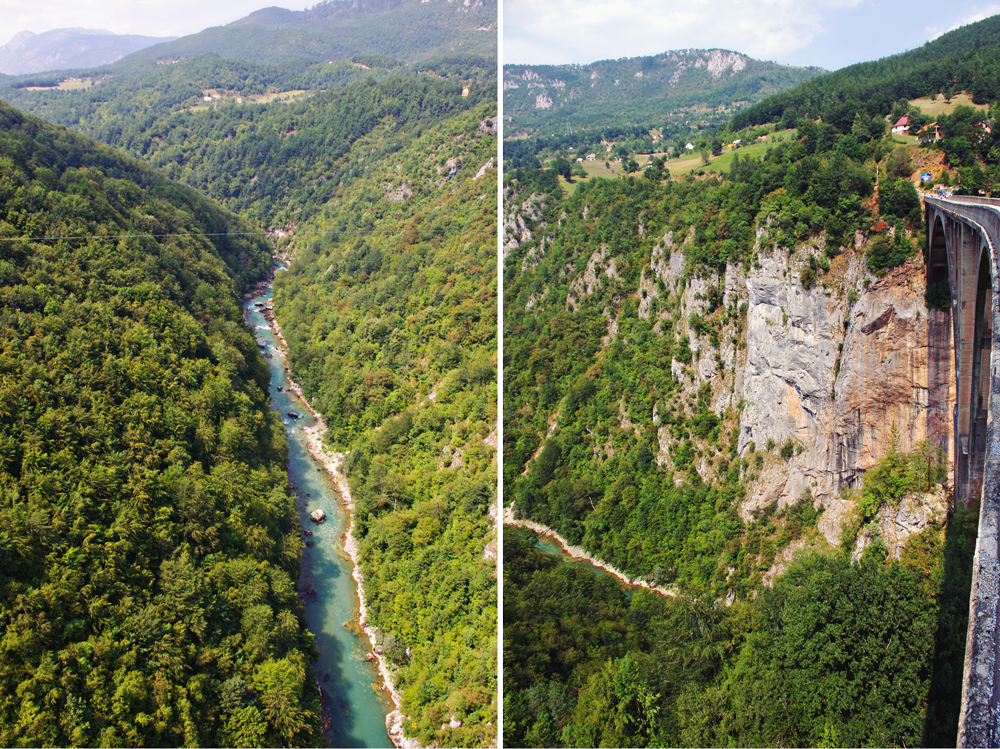 kanion Tary Czarnogóra