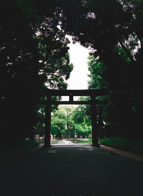 swiatynia-shinto-torii-brama