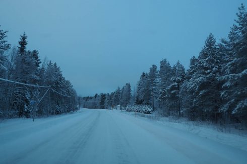 niebieskie zdjęcia zimą