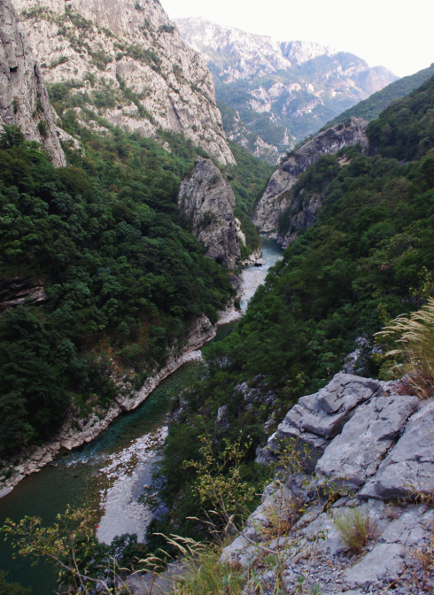 Kanion Moraca Czarnogóra